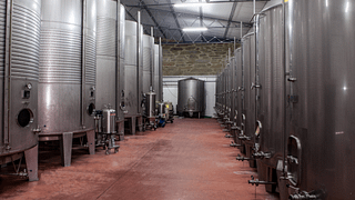 Tour Guidato e Degustazione di Vini con Tapas Regionali