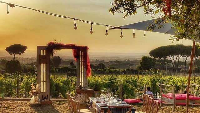 Vom Sonnenuntergang bis ins Glas – Abendessen im Weinberg & Abende zwischen den Reben