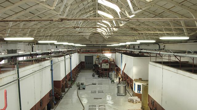 Bodegas Y Viñedos Del Jalón