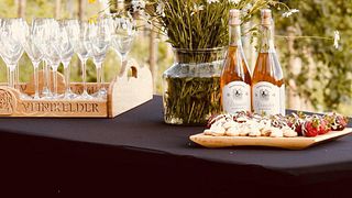 Degustazione di vini e visita in cantina | Cantina Murimäe