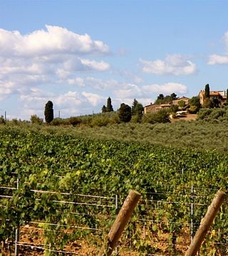 Chianti- und Chianti-Classico-Weintour und Verkostung in San Fabiano Calcinaia