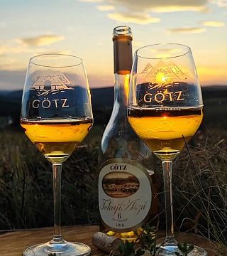 Cata de vinos en la bodega Gotz