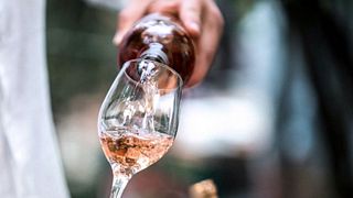 Degustação de vinhos e passeios em Winzergenossenschaft Wolfenweiler