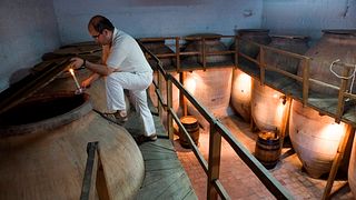 Weinprobe und Tour in La Bodega de las Estrellas