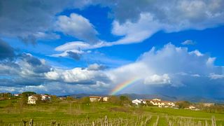 Passeie pelos vinhedos da Toscana e prove vinhos artesanais, incluindo o Passito.