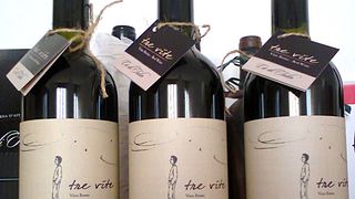 Weinprobe und Führung in der Azienda Agricola Cà di Tulin