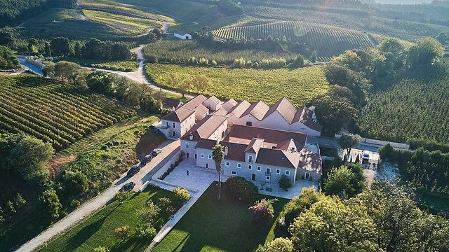 Wine Tour presso Casa Romana Vini con 3 Degustazioni di Vini e Abbinamenti Gourmet
