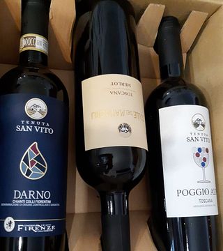 Degustazione e visita alla Tenuta San Vito