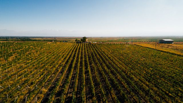 Cata de vinos y almuerzo en Voskeni Wines
