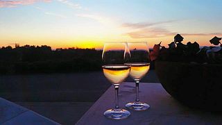 Weinprobe und Führung im Weingut Wise Villa