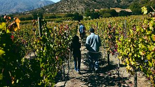 Degustazione tra i vigneti a Clos de Luz