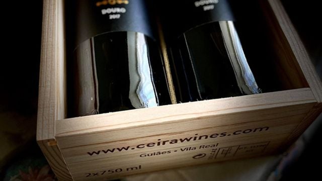 Passeio privado de dia inteiro no Vale do Douro: degustação de vinhos, almoço e passeios turísticos