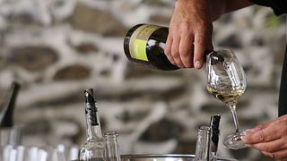 Degustação de vinhos e tour no Domaine Ollier Taillefer