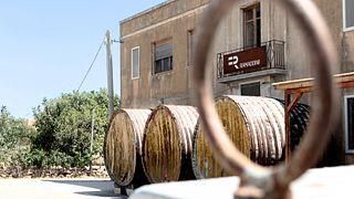 Degustazione e tour dei vini della Val di Noto a Ramaddini