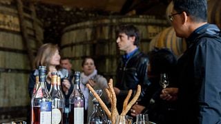 Cognac-Verkostung und private Tour bei Cognac Bertrand
