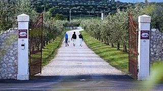  Vinprovning på Borgo Romantico Wine Relais och besök på ekologiska vingårdar
