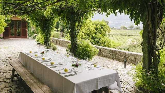 Quinta de Covela