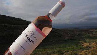Degustação de vinhos premium e tour em Viñedos De Sonsierra