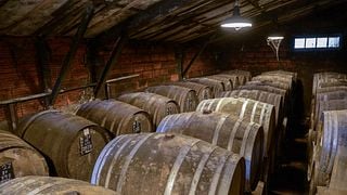 Visita alla tenuta e alla distilleria