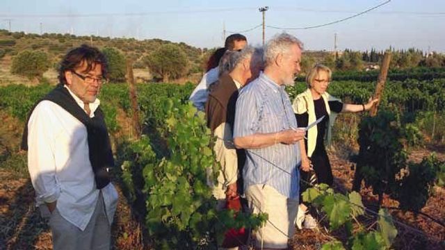 Degustazione di vini e tour presso la famiglia Georgas