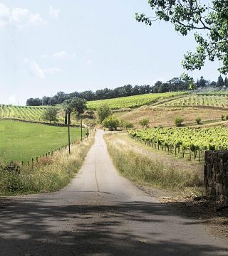 Weinprobe und Führung in der Fattoria Petriolo