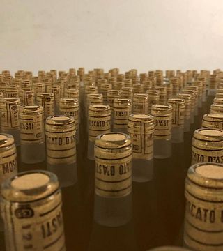 Degustação de vinhos e tour na Azienda Vitivinicola Oscar Bosio