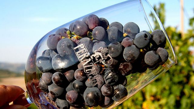 Dégustation de vins et visite à la Cantina Perazzeta