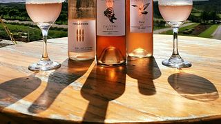 Degustazione di vini in cantina presso la tenuta Karikari
