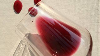 Calabria Vineyard Tour & Wine Tasting at Le Moire