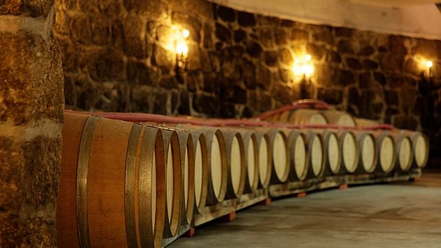 Simple visit with tasting:  This is a full visit of the winery and at the end a wine tasting of three wines.