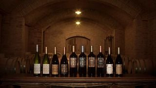 Degustação de vinhos e tour na Vina Alicia