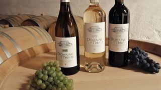 Domaine De Treille