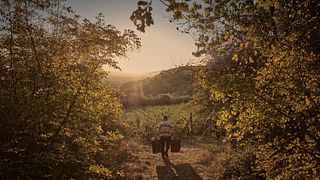 Degustación de Terroir