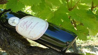 Weinprobe und außergewöhnliche Lodge-Unterkunft im Château Adelaide
