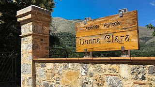 Campania's Cilento Wine & Olive Dream