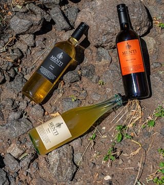 Terroir Experience på Menti Giovanni Società Agricola