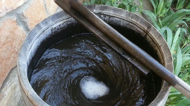 Cata y visita de vinos en Bodega Negón
