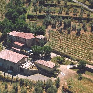 Dégustation de vins et visite à Martoccia Di Brunelli