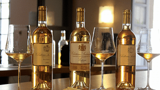 Dégustation de vins, accord 3 fromages et visite du Château Suduiraut