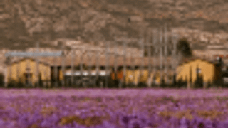 Authentic Winery Tour and Wine Tasting in Jumilla