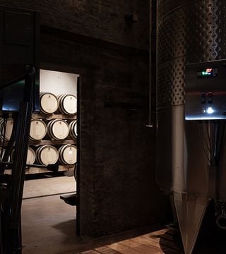 Complete Tasting at Tenuta di Montefoscoli
