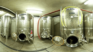 ORGANIC VIP wine tasting