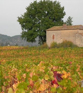 Cata de vinos y visita guiada al Domaine Les Roques de Cana