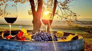 Tour The Wine Road – 2 vinícolas em um dia