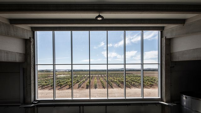 Cata de vinos y visita guiada en la bodega Velvety Wines