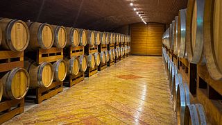 Premium-Weinprobe bei Castellani Michele & Figli