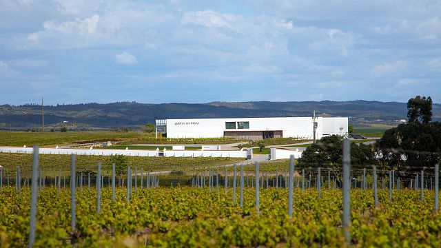 Visita y cata de vinos en Quinta do Paral