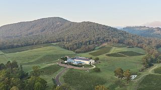 Art & Wine | Love on Mount Pleasant Experience