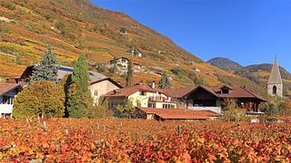 Degustazione di vini e tour dei vigneti al Weingut Plonerhof - Santa Maddalena