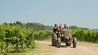 Cascina Lana Winery